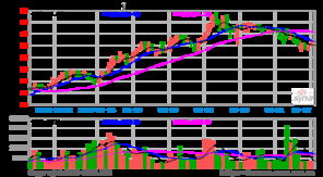 金城醫(yī)藥斥資20萬收購丙氨酰谷氨酰胺關(guān)鍵技術(shù)，加速布局醫(yī)藥產(chǎn)業(yè)鏈
